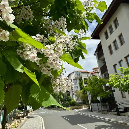 Апартаменты аппартамент в триумфе святой влас 300м от моря, бассейн. Свети-Влас