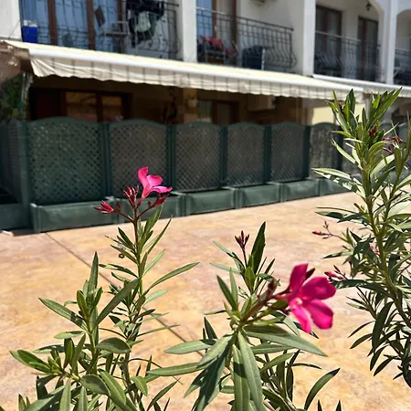 Apartment аппартамент в триумфе святой влас 300м от моря, бассейн. Sveti Vlas