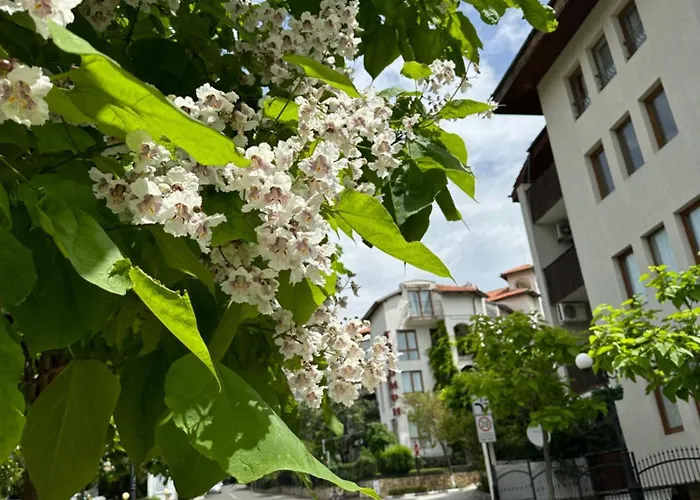 Lägenhet аппартамент в триумфе святой влас 300м от моря, бассейн. Sveti Vlas